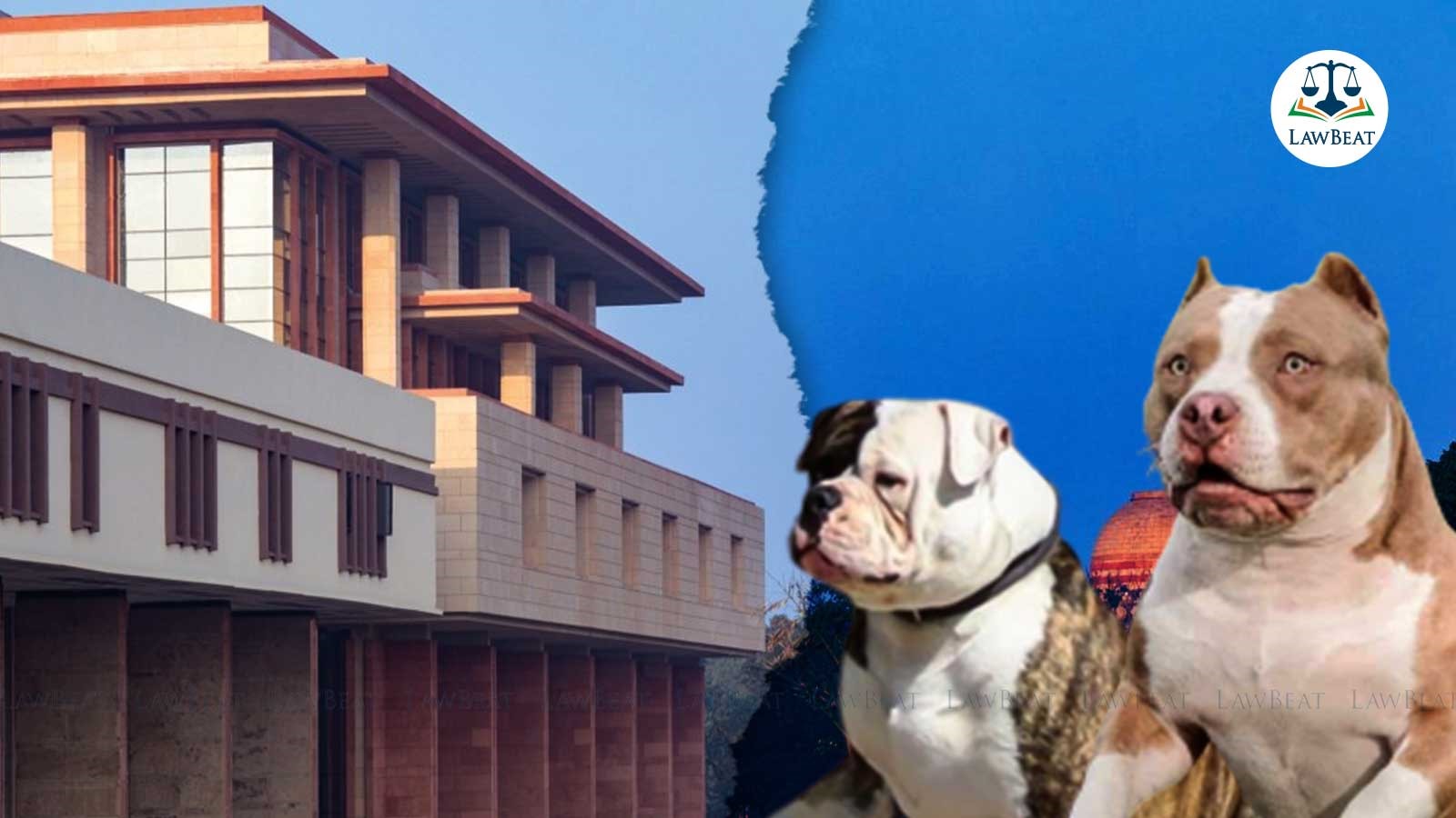 Delhi High Court Disposes of Petition Upon Central Govts Assurance of Prompt Decision on Ban for Dangerous Dog Breeds Delhi High Court Disposes of Petition Upon Central Govts Assurance of Prompt Decision on Ban for Dangerous Dog Breeds